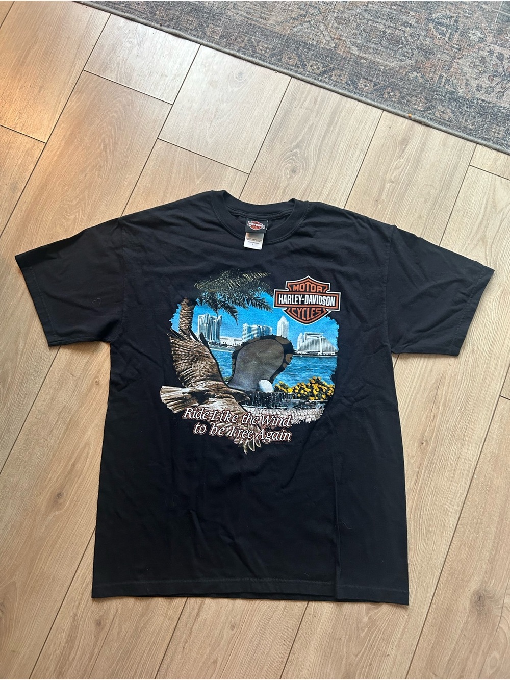 Harley-Davidson Black Tee with Blue Scenic Eagle Graphic